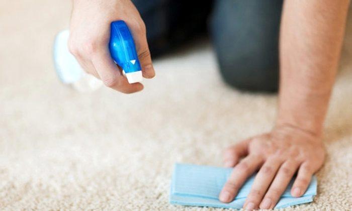 Müşteri Memnuniyetini Sağlayan Doğru Temizlik Seçenekleri