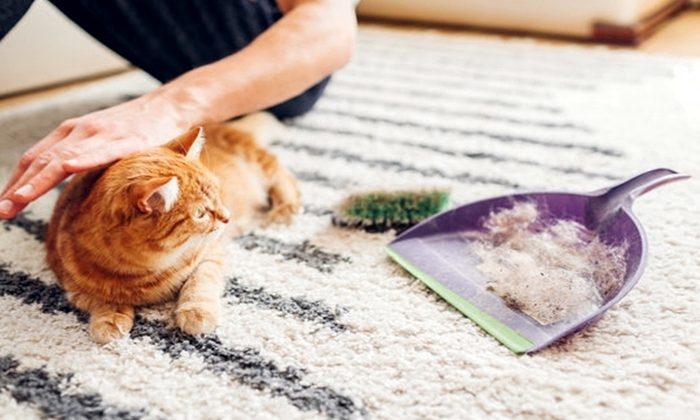 Aksu Çalkaya Halı Yıkama – En İyi Halı ve Koltuk Temizliği